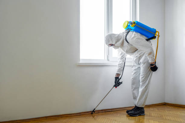 Professional Pest control in Leesville, LA